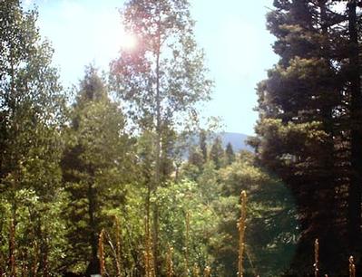 Lot 34